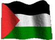 palestineflag, palestine