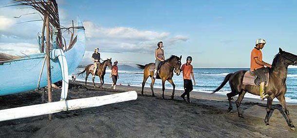 Horse Riding