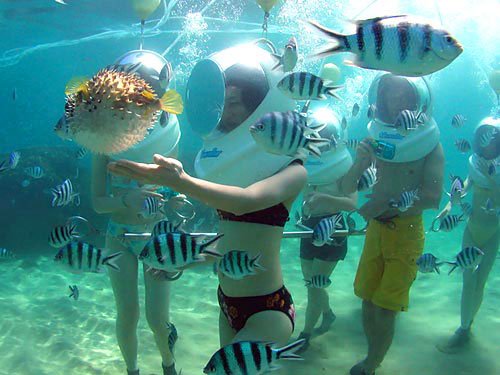 Bali Seawalker