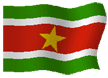 surinameflag, suriname