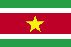 Surinameflag, Suriname