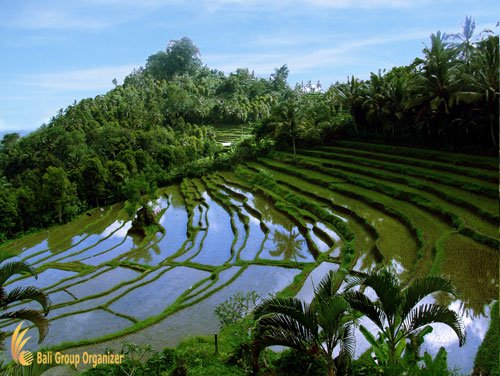 Bukit Jambul
