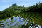 Bukit Jambul, Places to visit