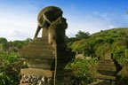 Monkeys, Uluwatu Temple